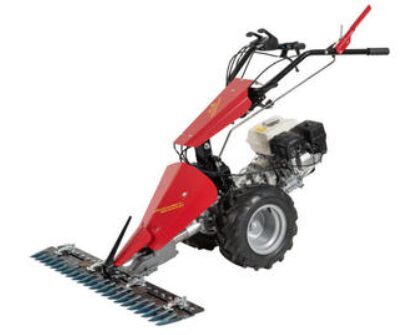 MF 226